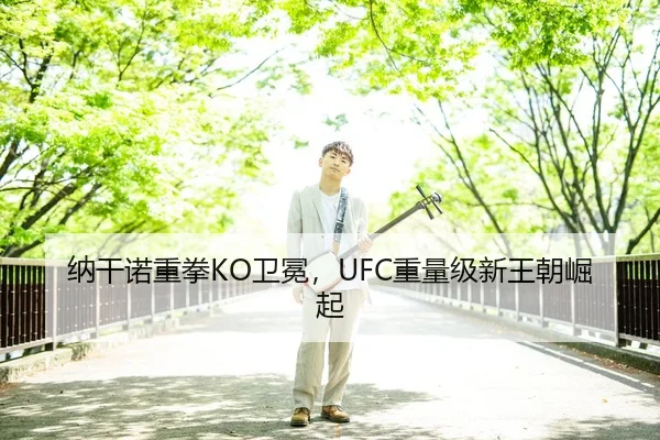 纳干诺重拳KO卫冕，UFC重量级新王朝崛起
