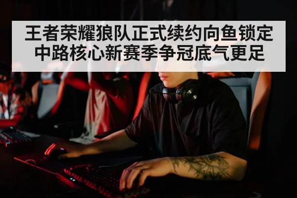 王者荣耀狼队正式续约向鱼锁定中路核心新赛季争冠底气更足